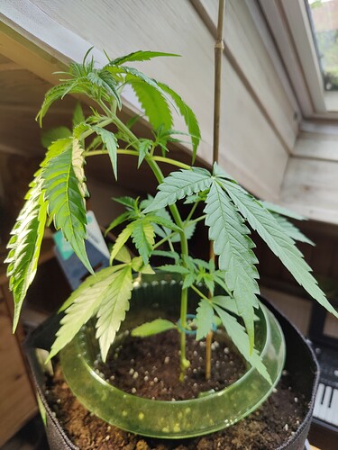 Growreport Bild 4