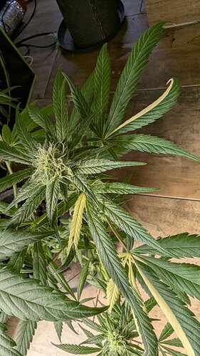 Growreport Bild 9