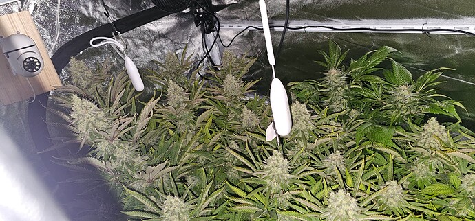 Growreport Bild 15