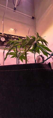 Growreport Bild 15