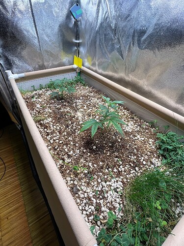Growreport Bild 32