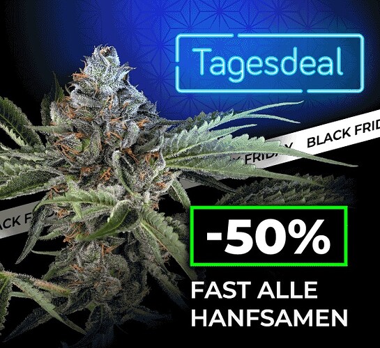 SensiSeeds BLACKFRIDAY 50% Rabatt