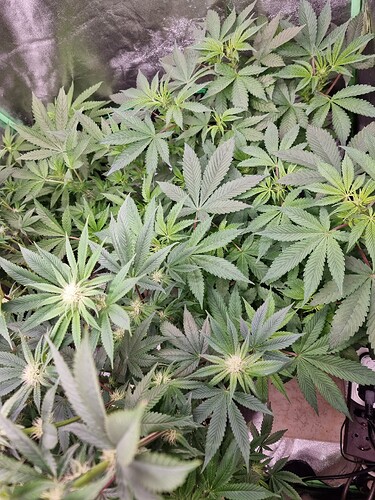 Growreport Bild 8