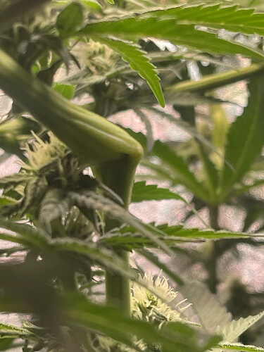 Growreport Bild 5