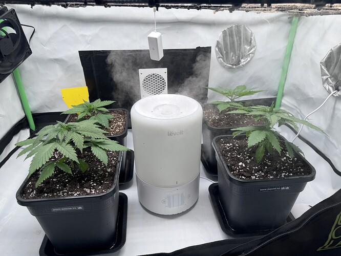 Growreport Bild 9