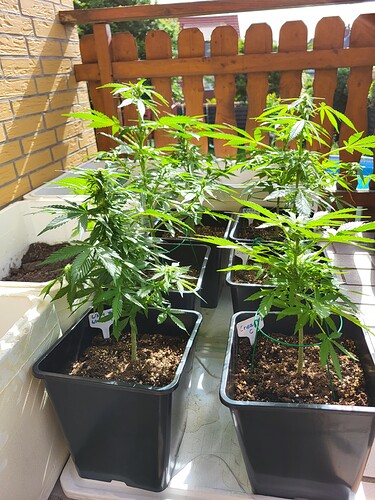 Growreport Bild 10