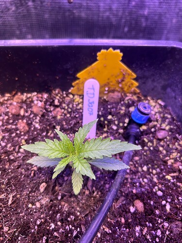 Growreport Bild 12