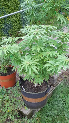 Growreport Bild 12