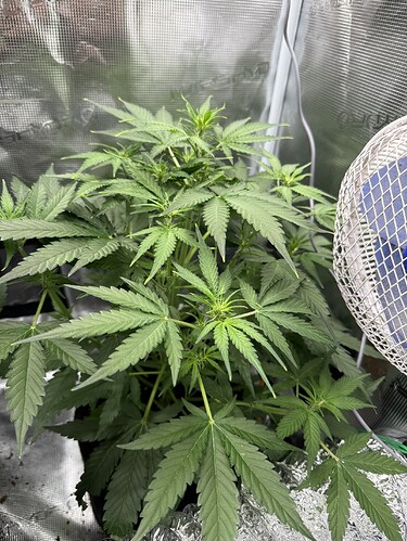Growreport Bild 18