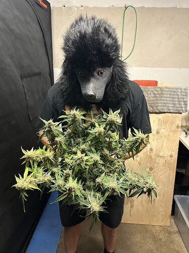 Growreport Bild 38