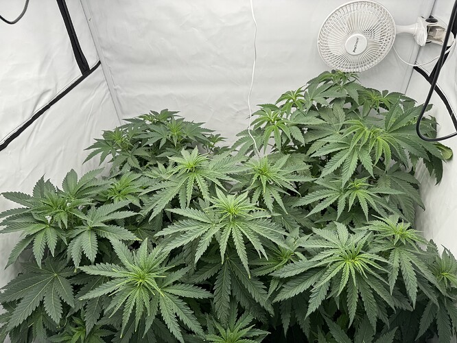 Growreport Bild 1