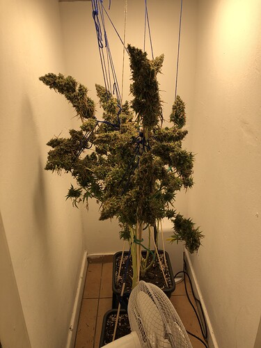 Growreport Bild 1