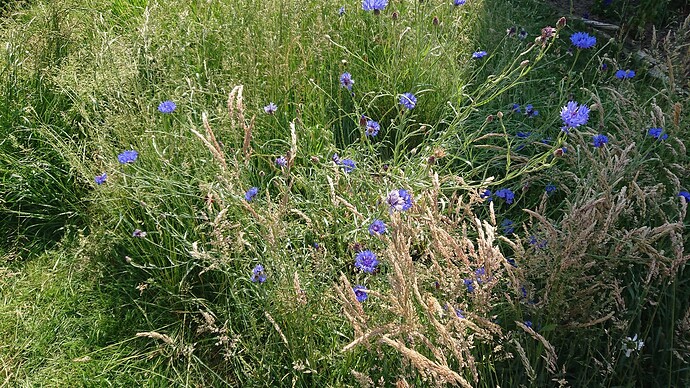 Growreport Bild 30
