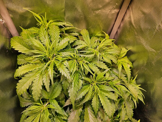 Growreport Bild 12