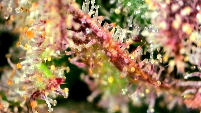 2024-08-26-191604199