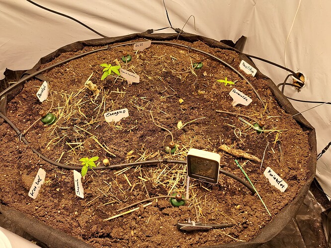 Growreport Bild 8