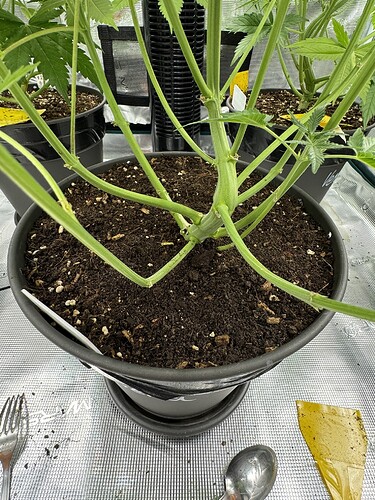 Growreport Bild 18