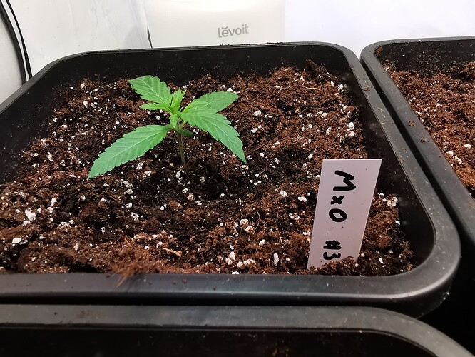 Growreport Bild 13