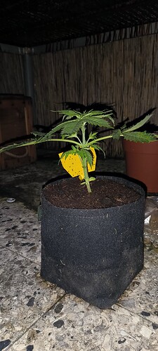 Growreport Bild 17