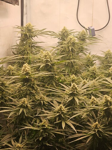 Growreport Bild 22