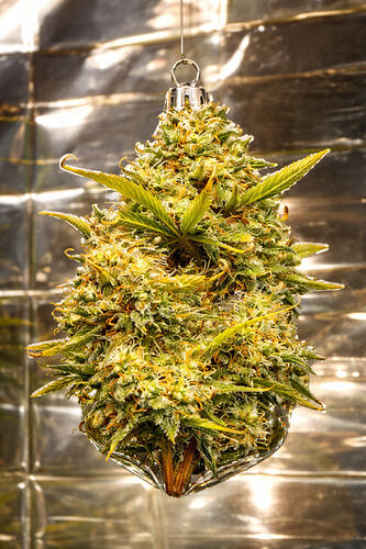 file_000000007354720a8de04a12423475b1