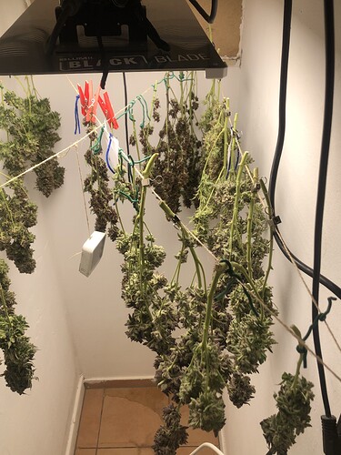 Growreport Bild 10