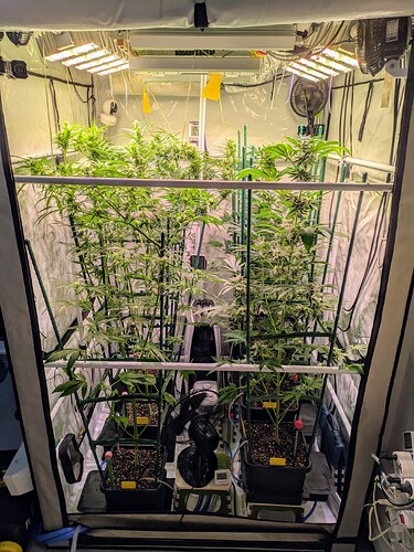 Growreport Bild 3