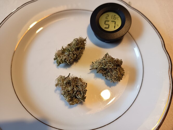 Growreport Bild 54