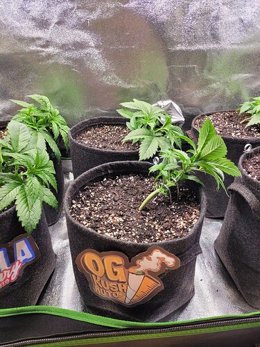 Growreport Bild 10