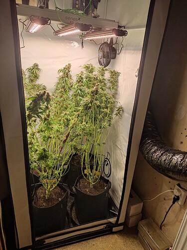 Growreport Bild 12