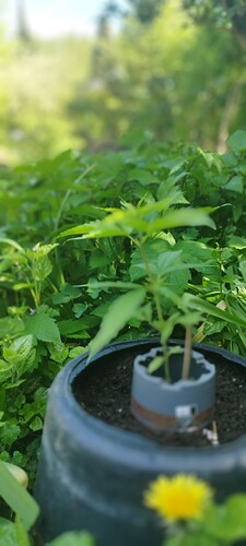 IMG_20250501_105733