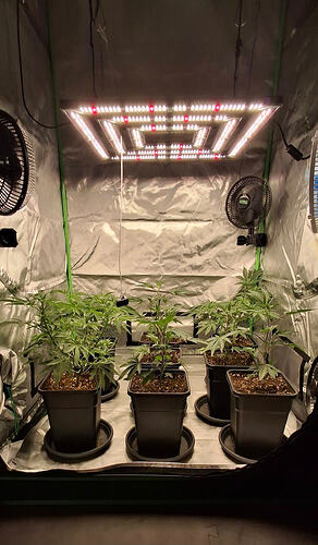 649333930_122227223432293599_3461889872544662884_n