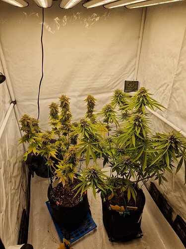 Growreport Bild 7
