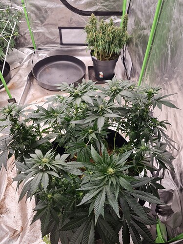 Growreport Bild 21