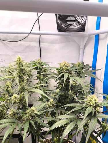 Growreport Bild 13