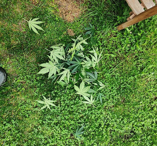 Growreport Bild 12