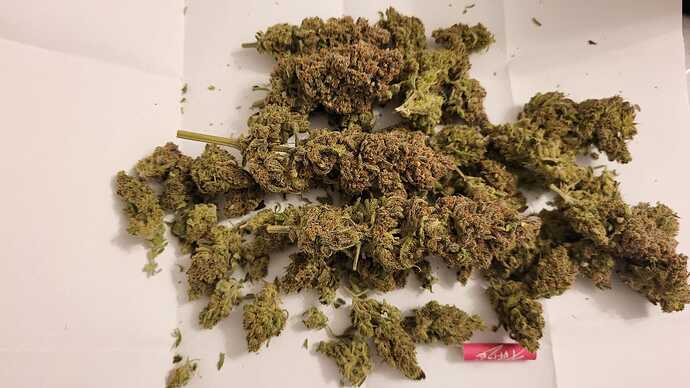 Growreport Bild 28
