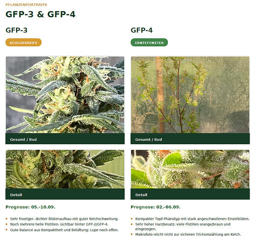 status_gfp2