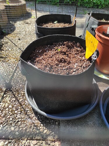 Growreport Bild 6
