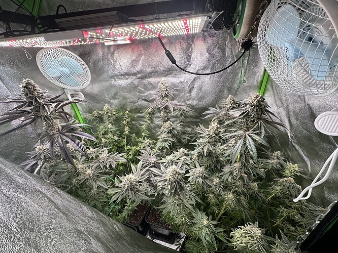 Growreport Bild 2