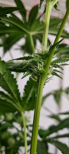 Growreport Bild 13