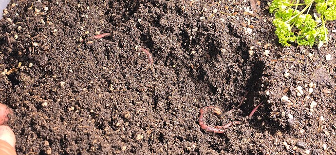 Growreport Bild 8
