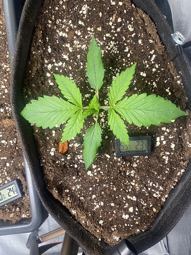 Growreport Bild 19