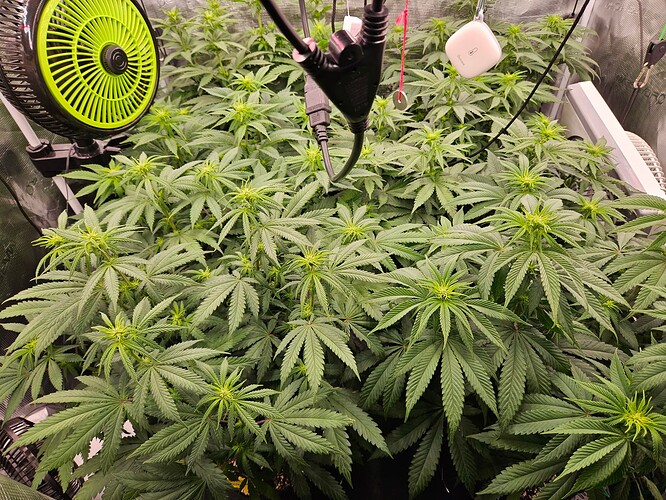 Growreport Bild 6