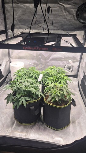 Growreport Bild 10