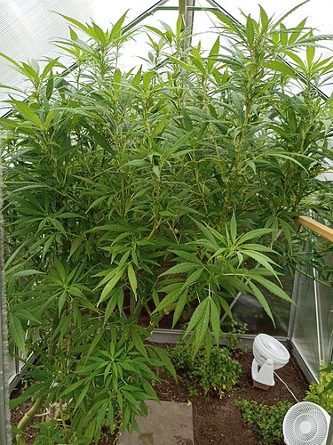 WhatsApp Bild 2024-09-19 um 08.47.10_c58e9d9e