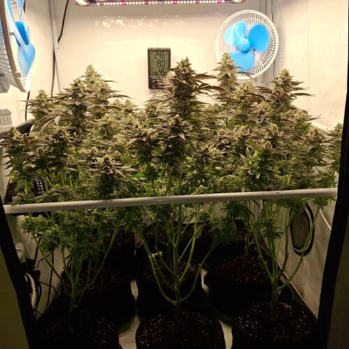 480824131_122169240242293599_3147177445160757246_n