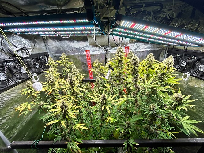 Growreport Bild 20
