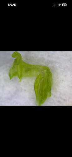 Growreport Bild 21
