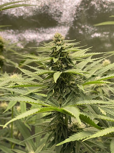 Growreport Bild 10